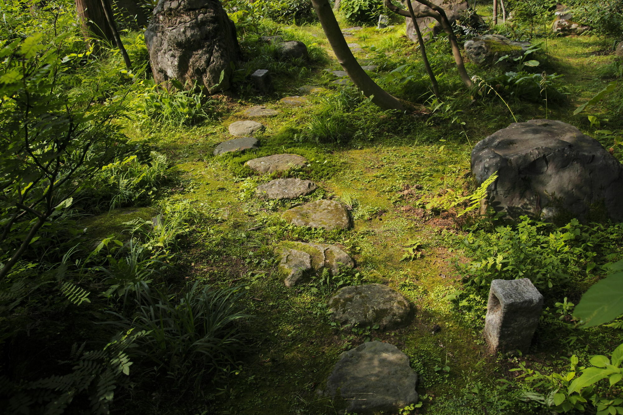 一里野高原ホテルろあん 白山市 エクステリア 写真