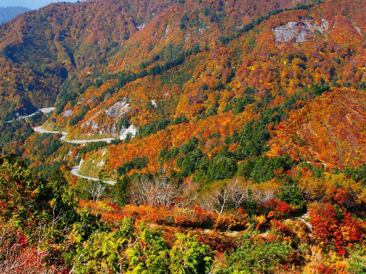 一里野高原ホテルろあん 白山市 エクステリア 写真